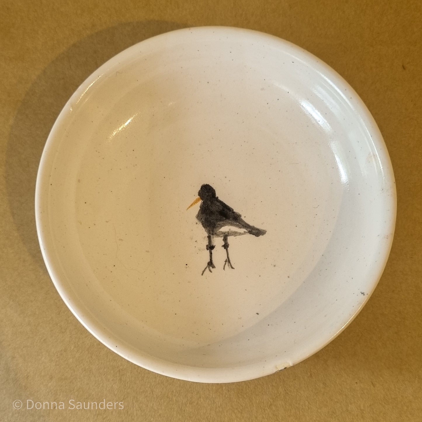 Pied Oystercatcher dish 1