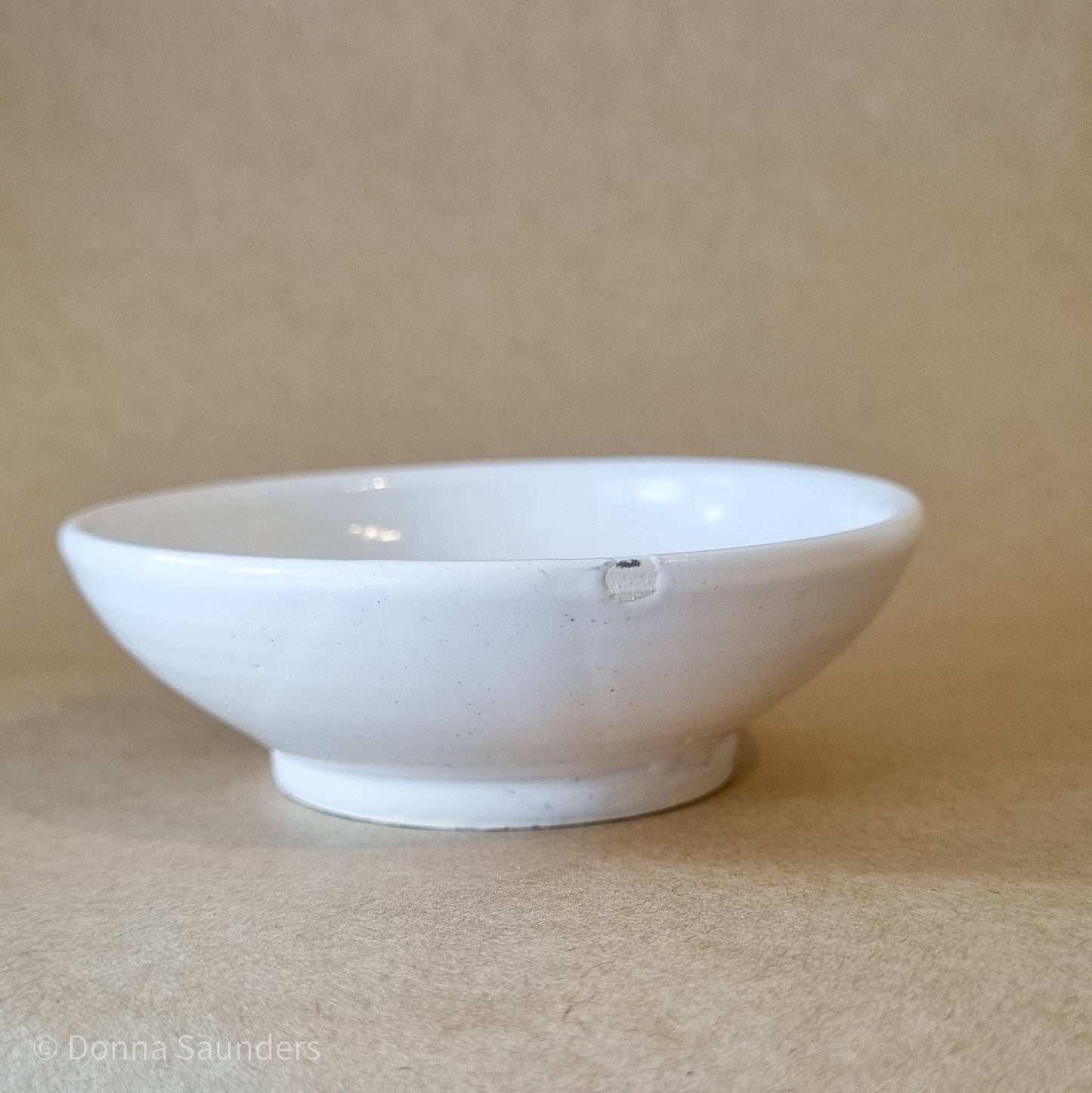 Pied Oystercatcher dish 1