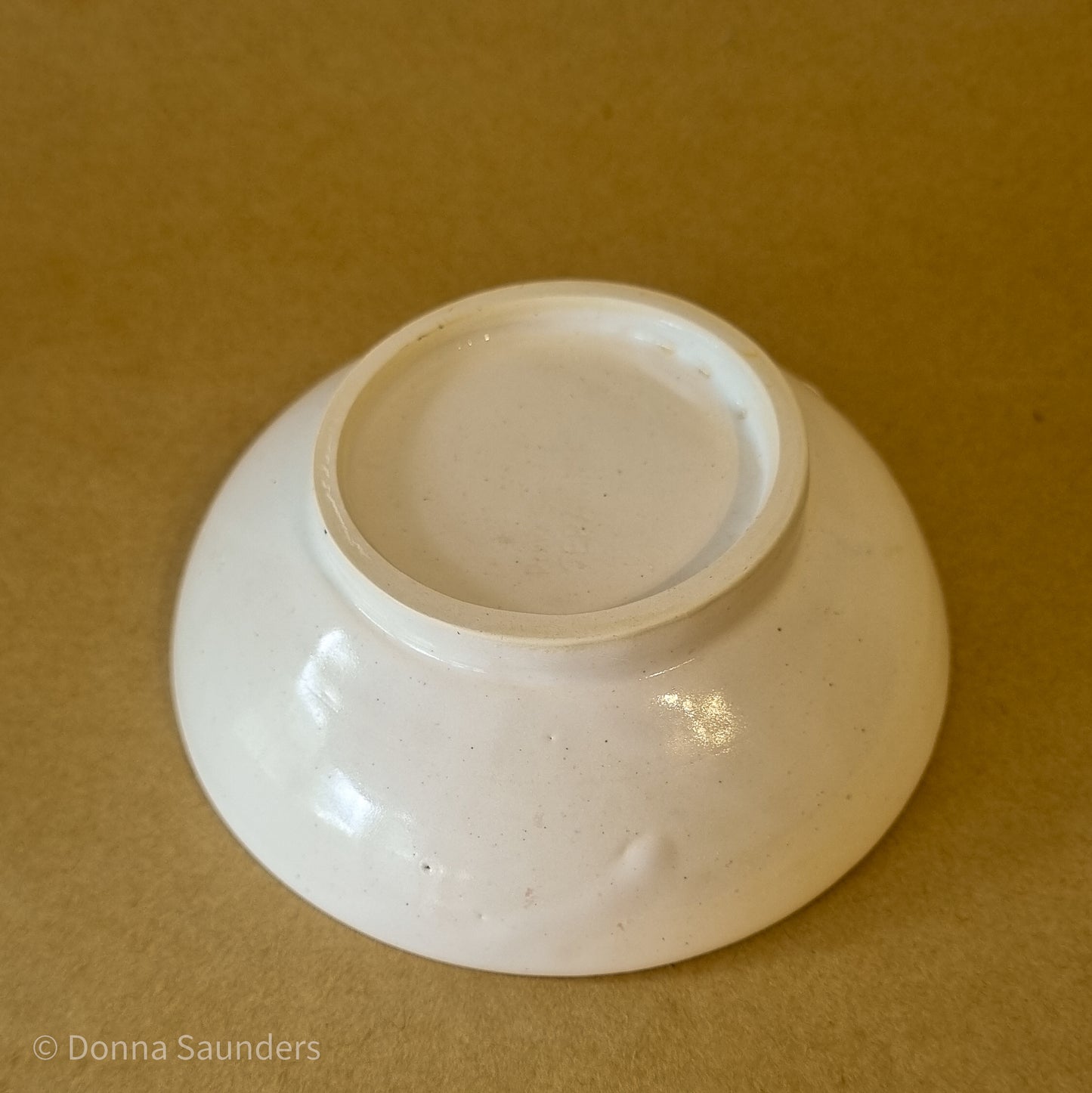 Pied Oystercatcher dish 1