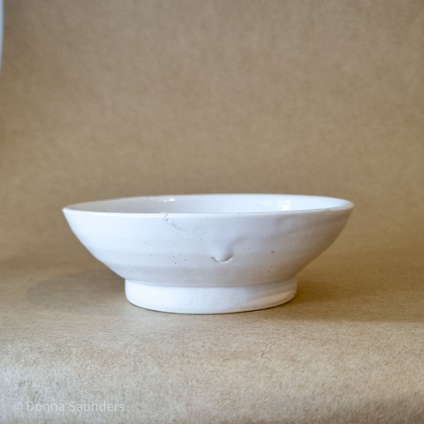 Pied Oystercatcher dish 2