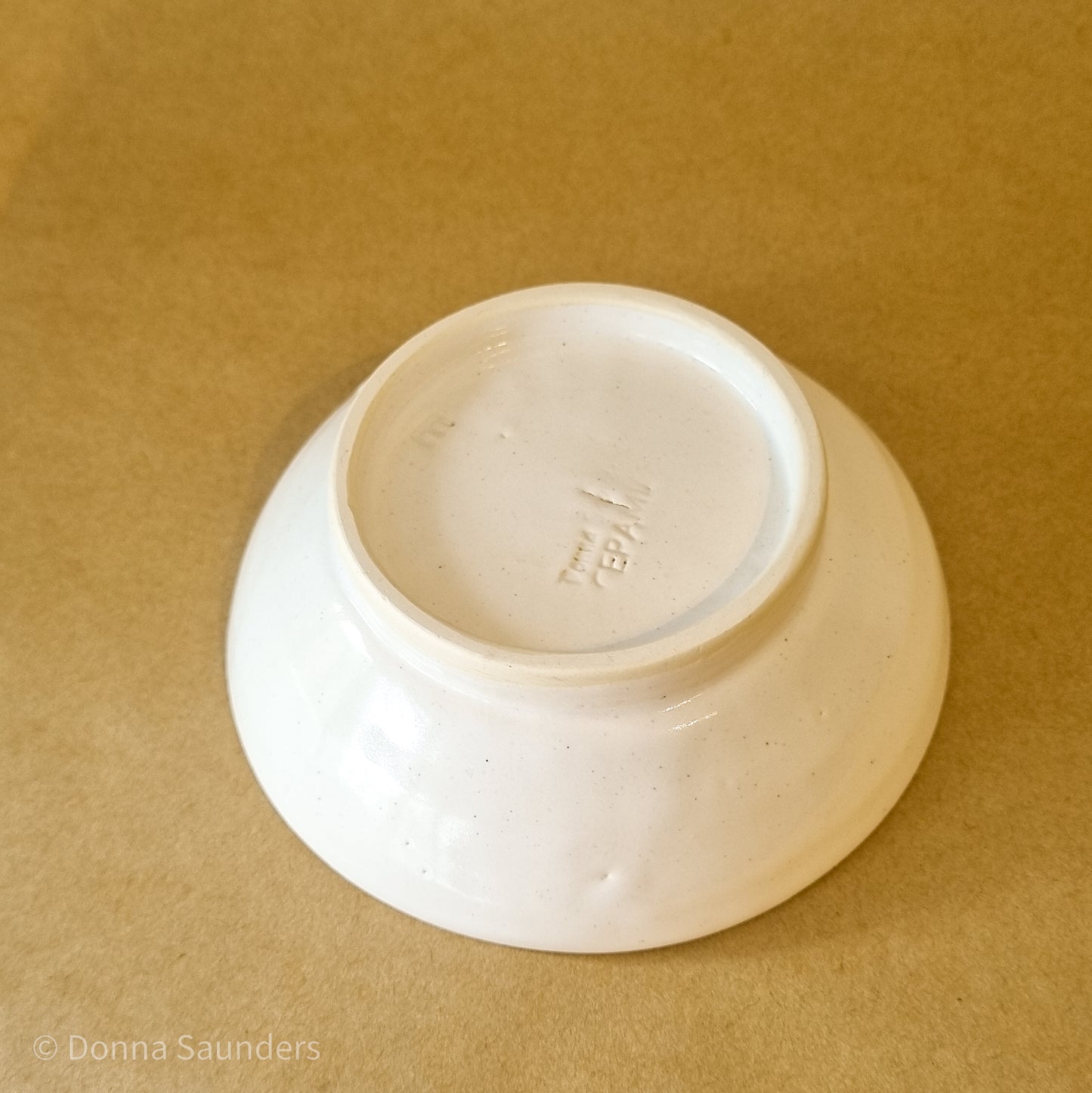 Pied Oystercatcher dish 2