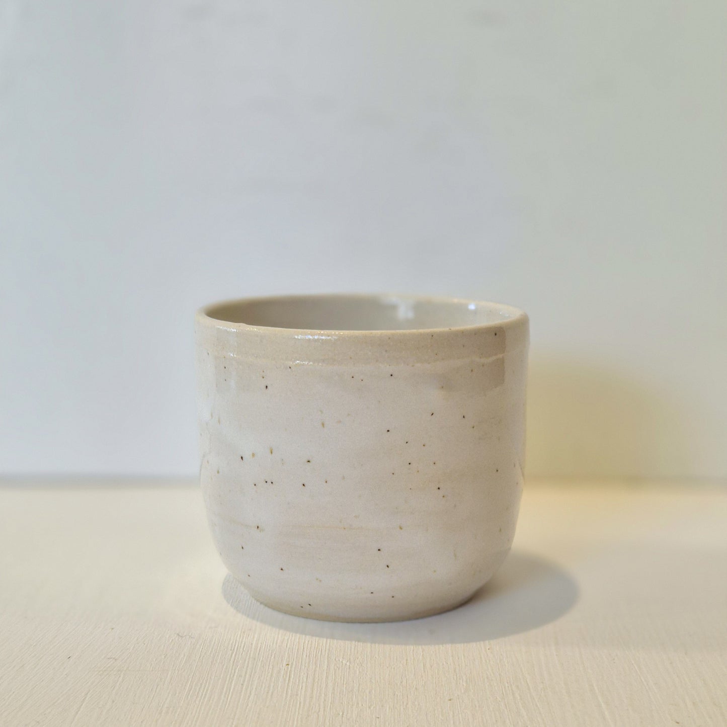 Bush Stone Curlew Tumbler