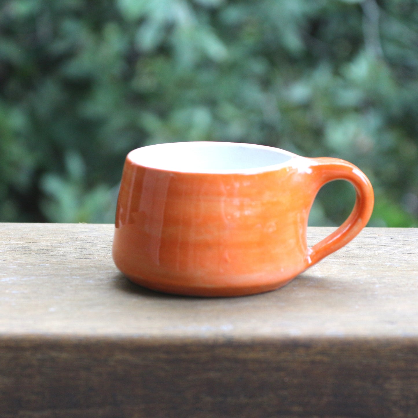 Echidna Espresso