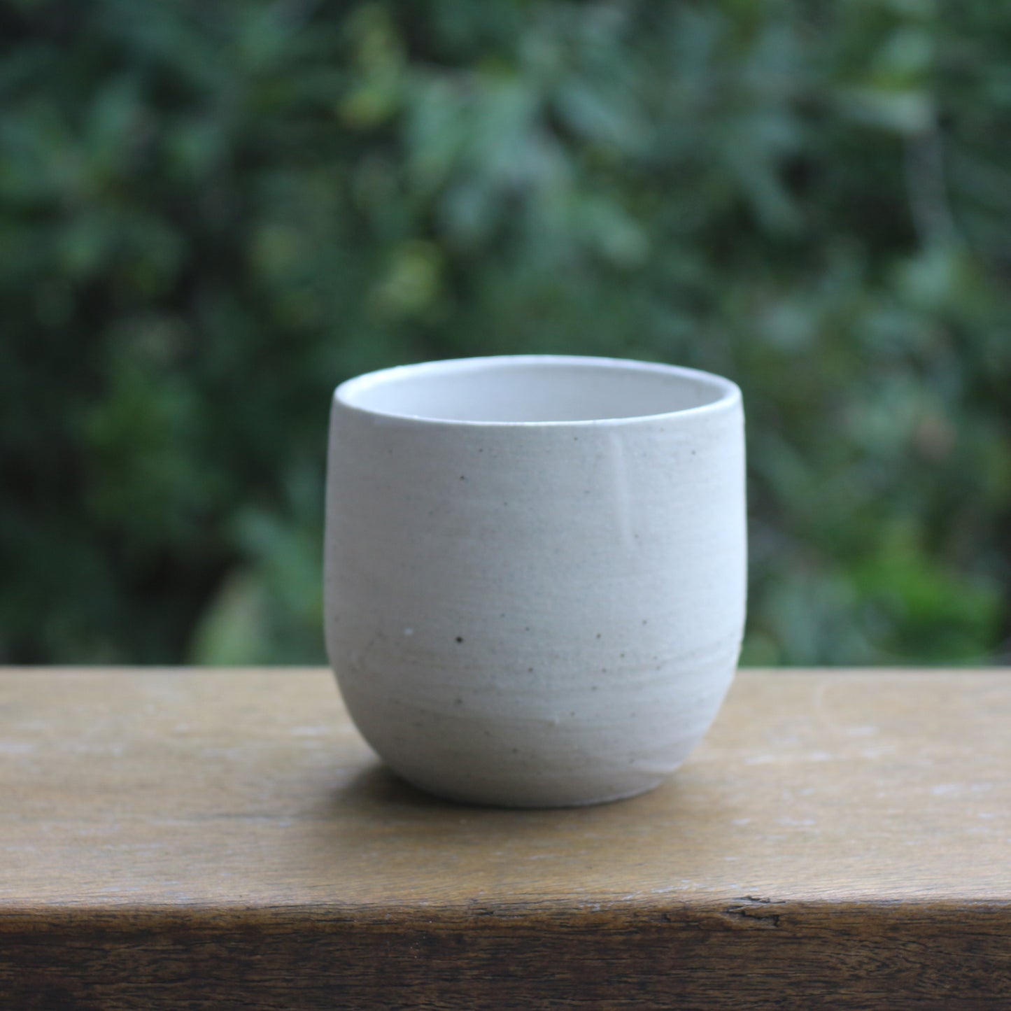 Echidna Tumbler