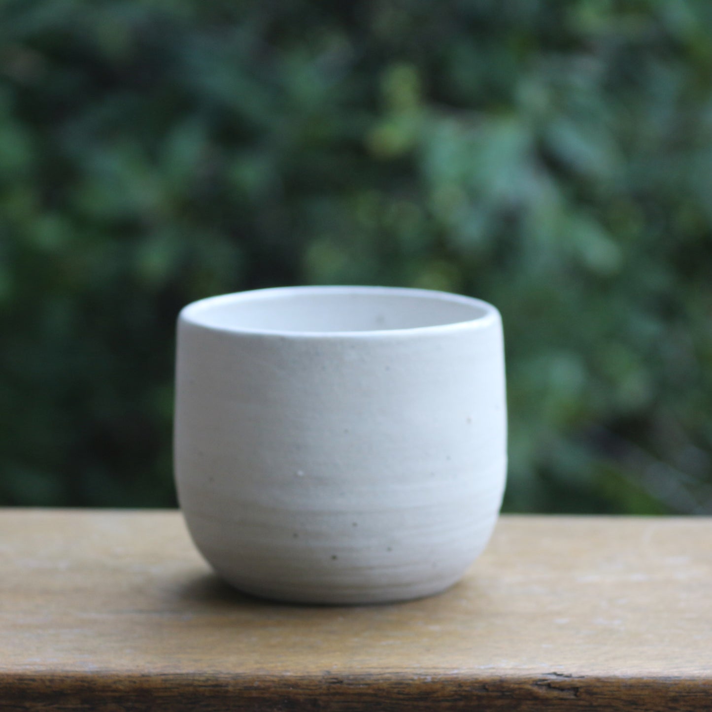Echidna Tumbler