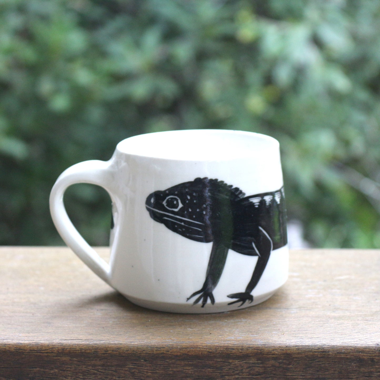 Water Dragon Mug