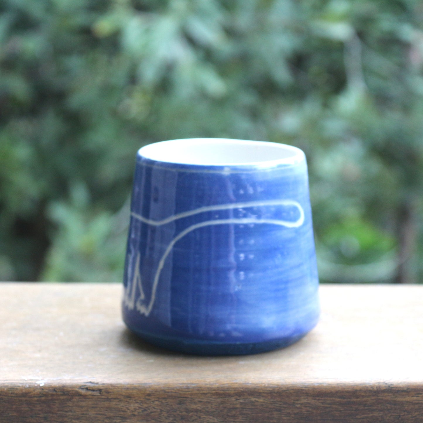 Blue Possum Mug