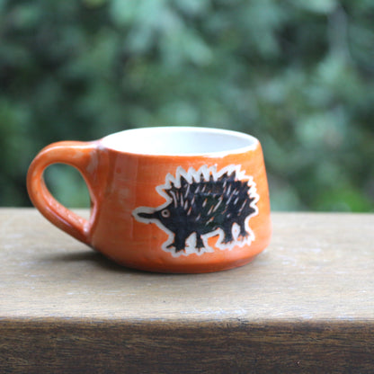 Echidna Espresso