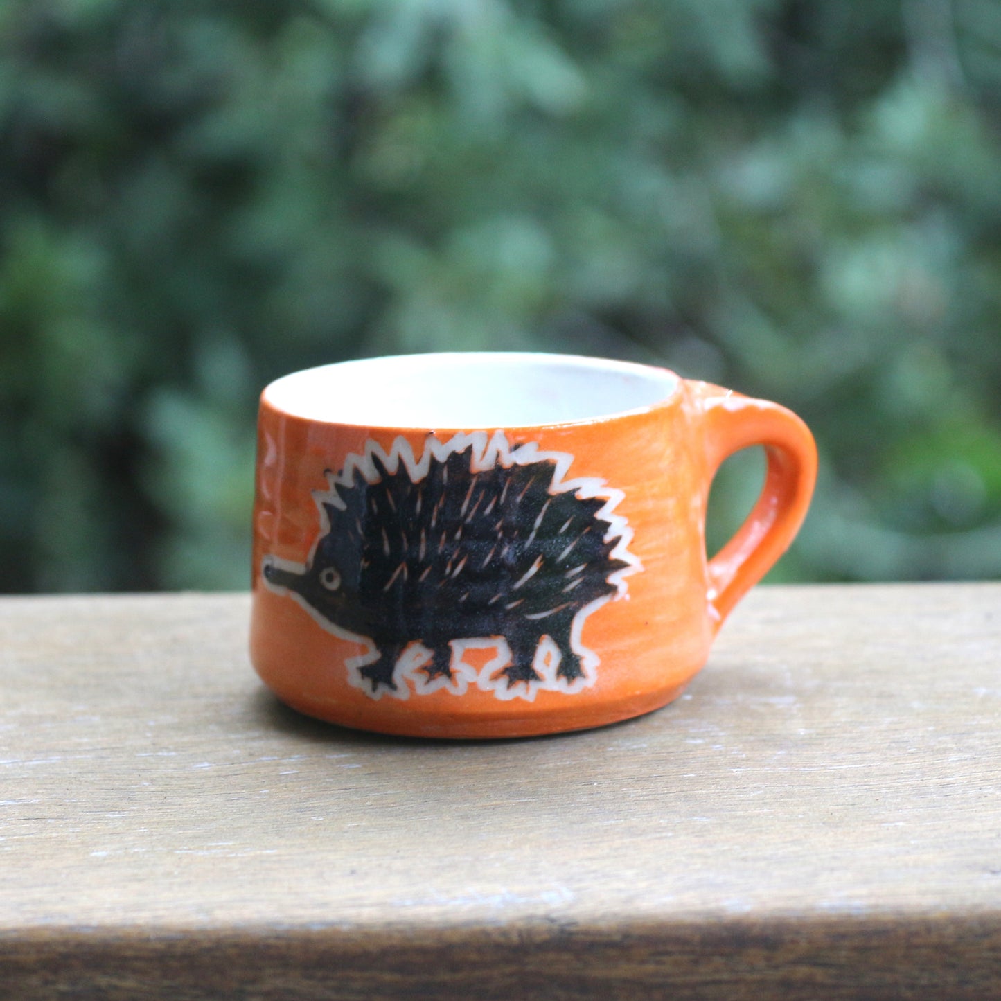 Echidna Espresso