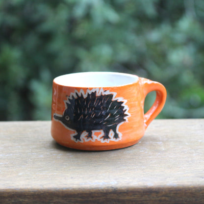 Echidna Espresso