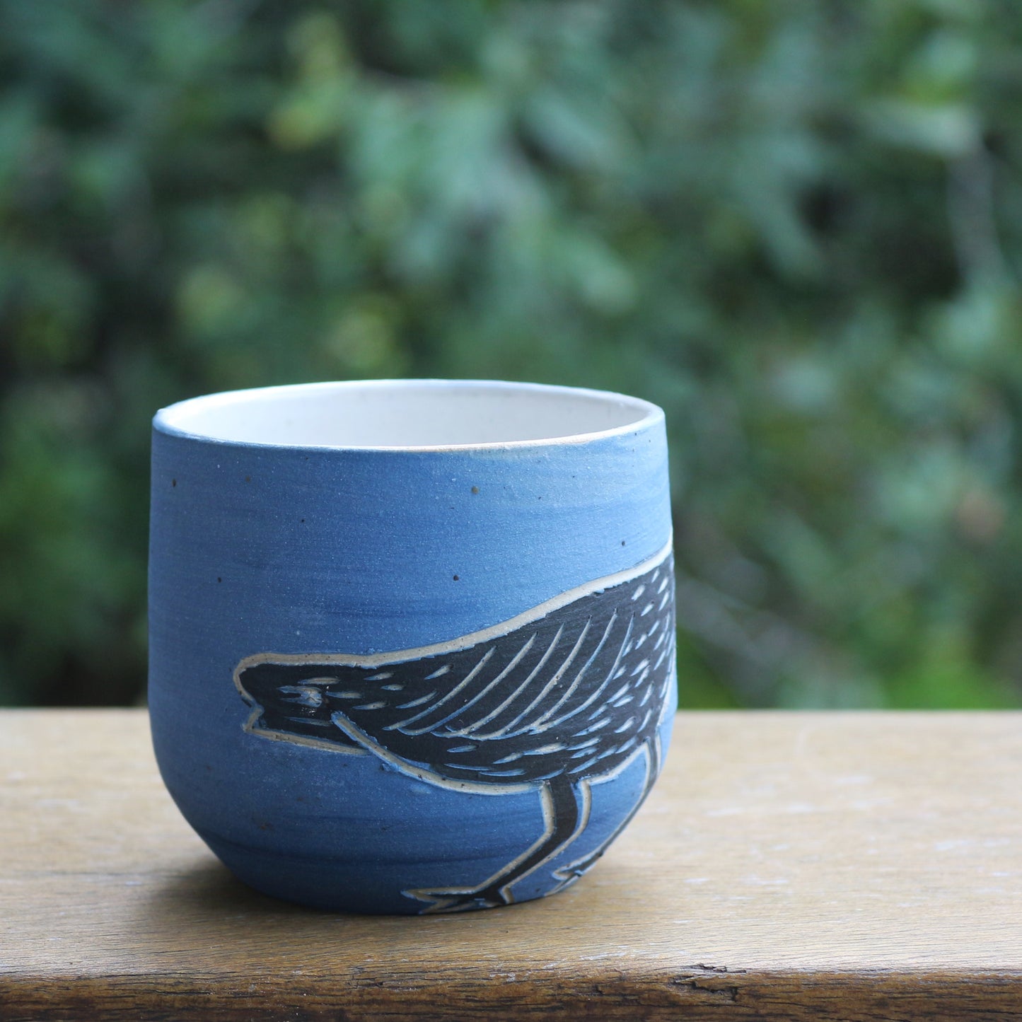 Bush Stone Curlew Tumbler