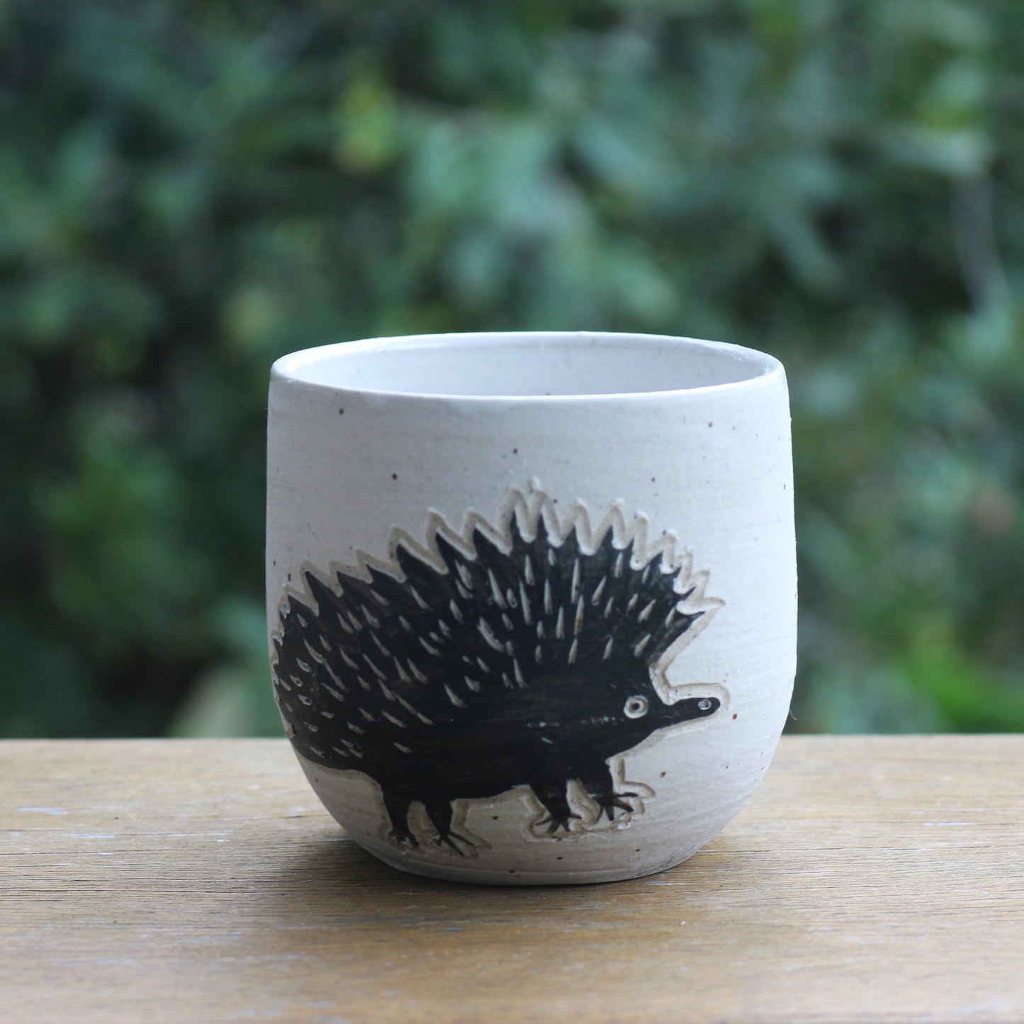 Echidna Tumbler