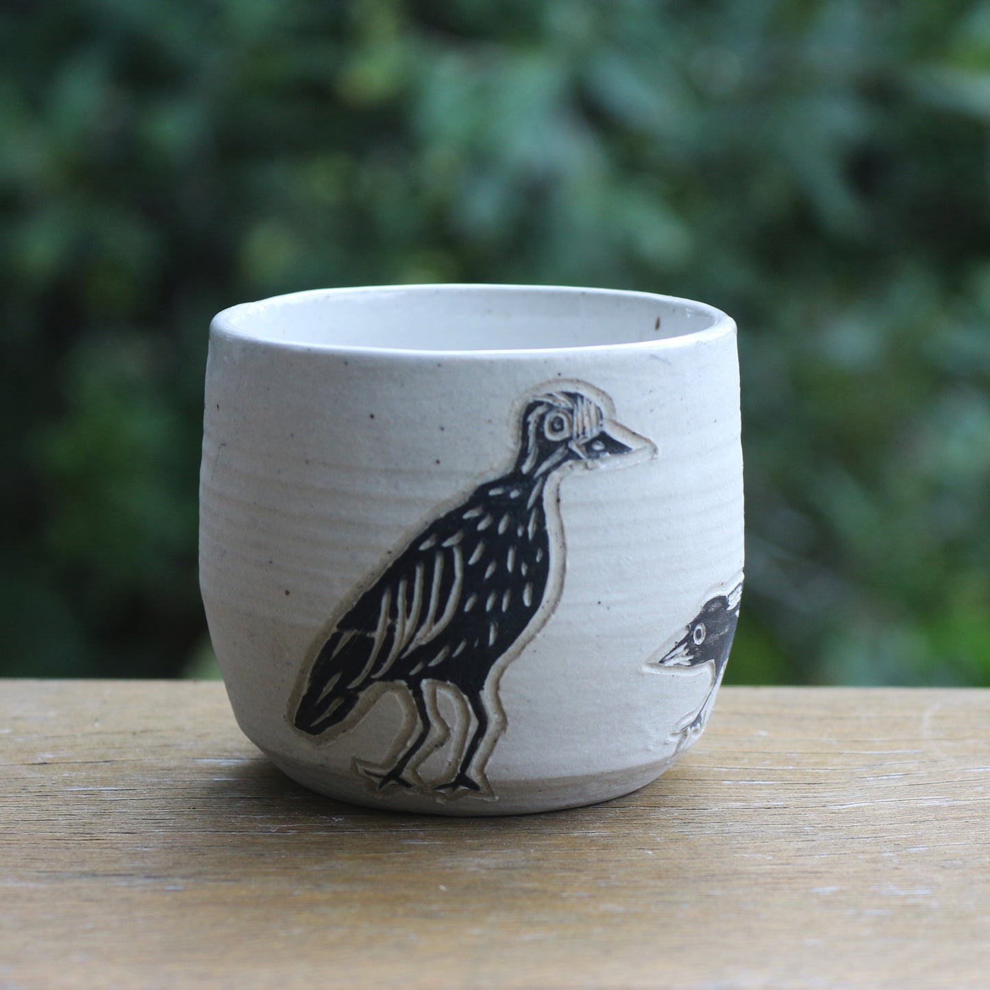 Curlews and Magpie Tumbler