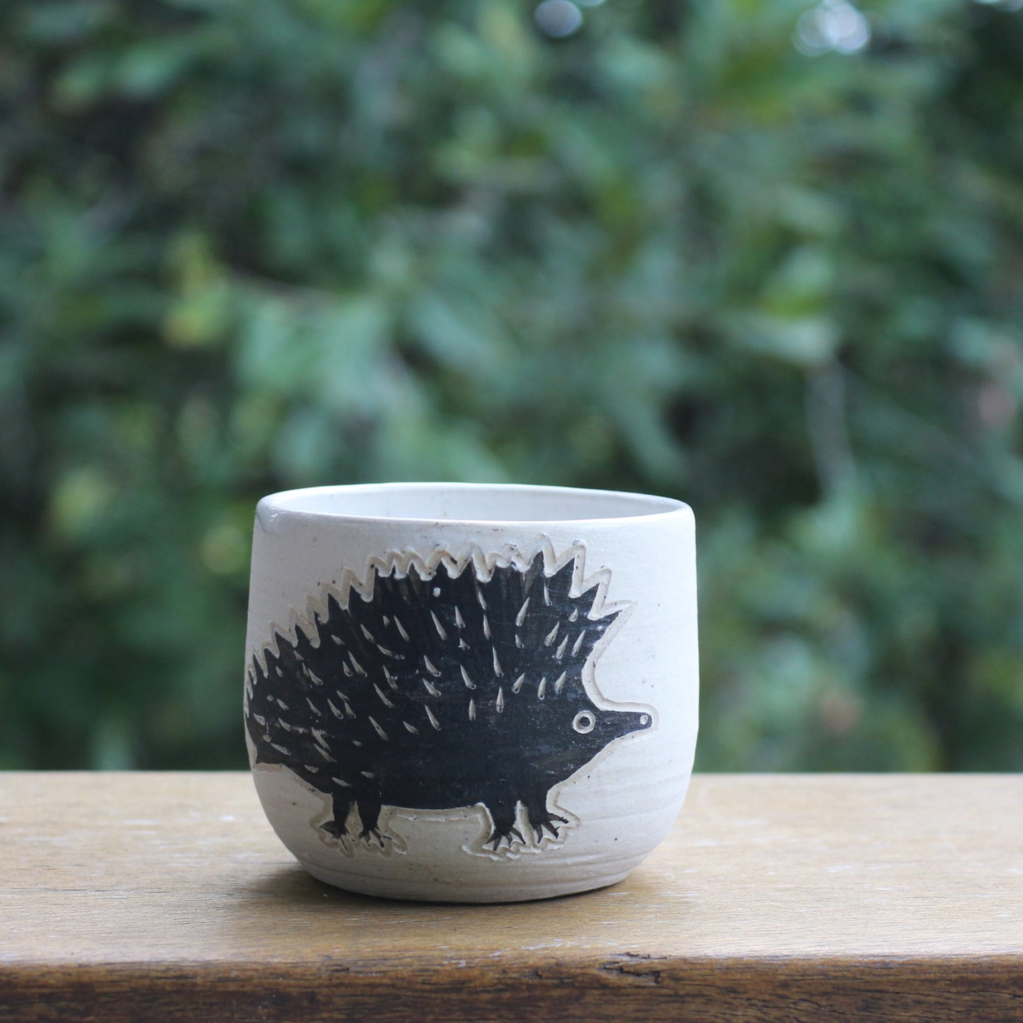 Echidna Tumbler