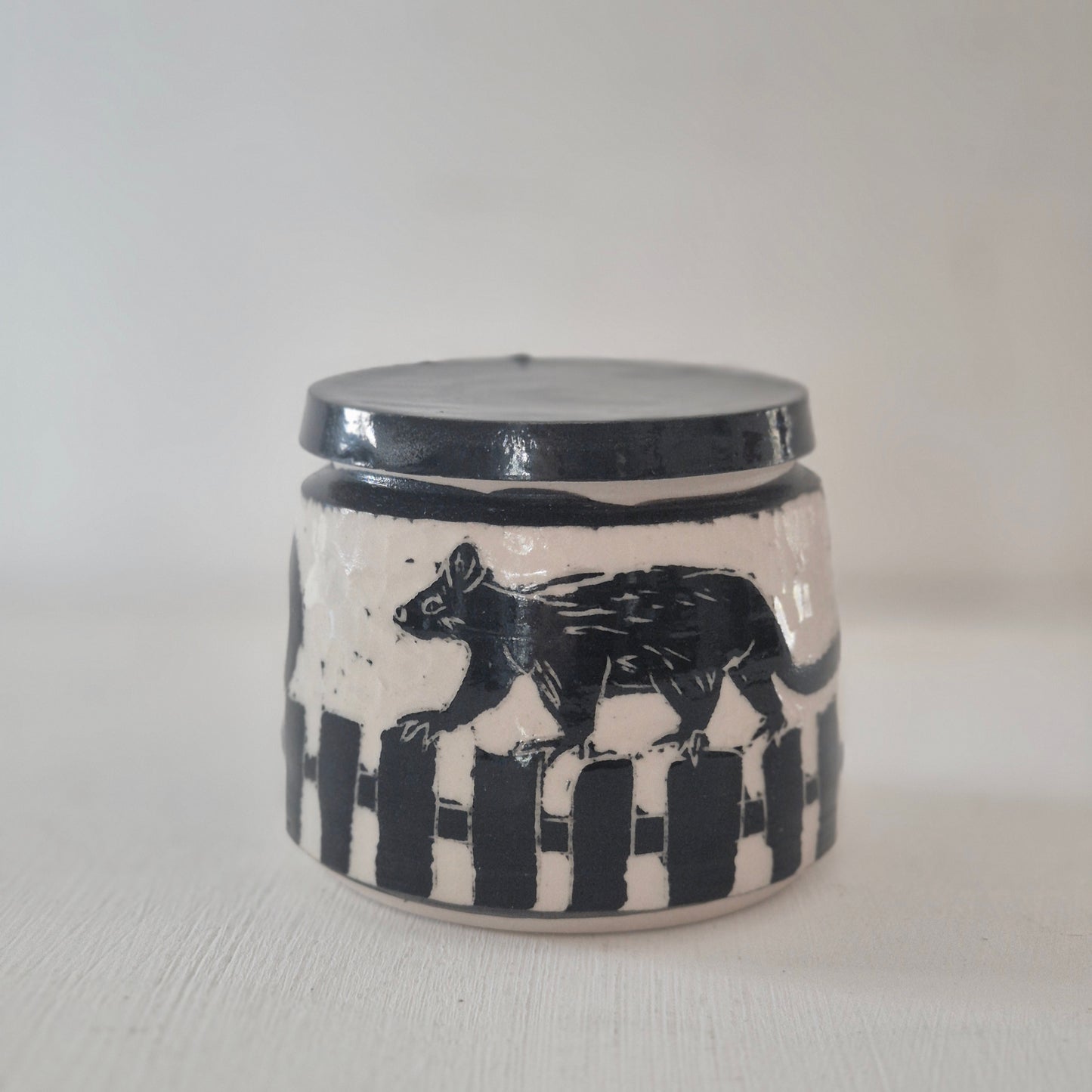 Possum on the fence Jar #1