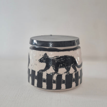 Possum on the fence Jar #1