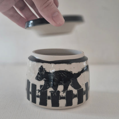 Possum on the fence Jar #1