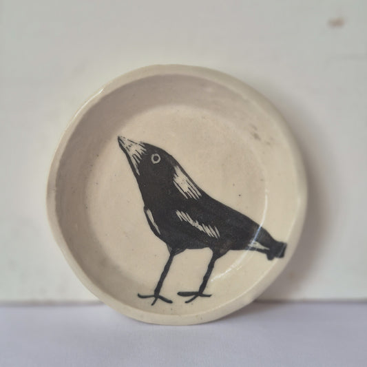 Magpie Dish